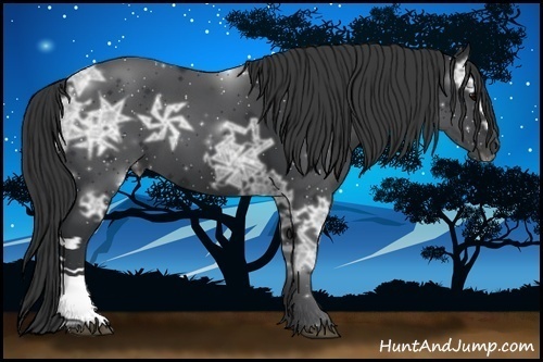 Horse Color:Black Ice
