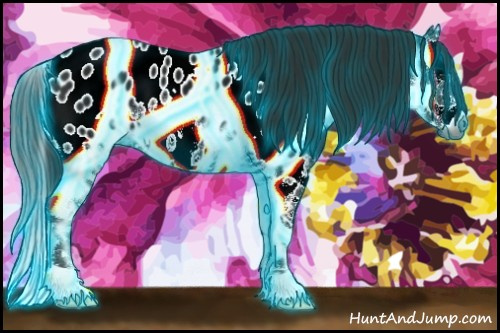 Horse Color:Gray Thunderstruck Smoky Black Splash Appaloosa 