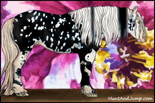 Horse Color:White Spotted Gold Champagne Appaloosa Rabicano