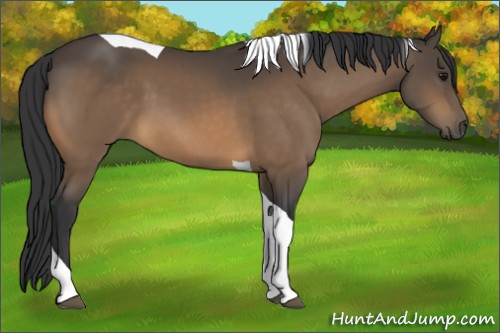 Horse Color:Buckskin Tobiano 