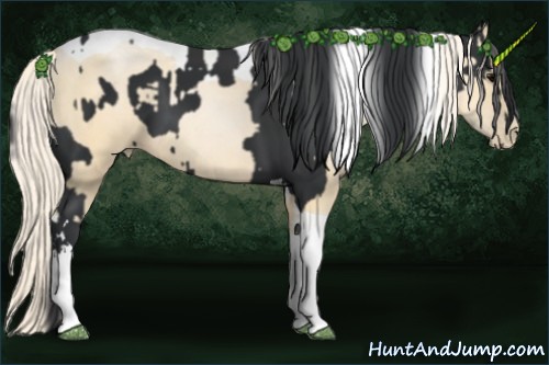 Horse Color:Black Tobiano  and Palomino Pearl Tobiano 