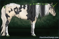 Horse Color:Black Tobiano and Palomino Pearl Tobiano