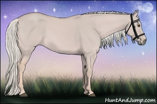 Horse Color:Watercolor Palomino Dun
