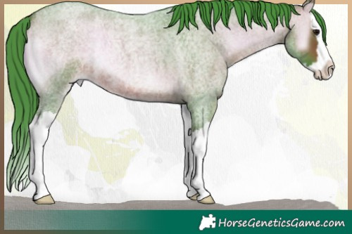 Horse Color:Watercolor Bay Roan Onyx Splash 