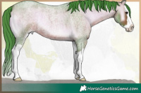 Horse Color:Watercolor Bay Roan Onyx Splash 