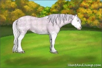 Horse Color:Watercolor Plaid Silver Classic Champagne Ice Dun Splash