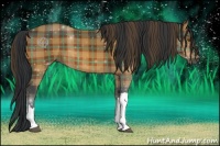 Horse Color:Plaid Bay