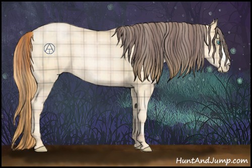 Horse Color:Plaid Buckskin Pearl