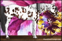 Horse Color:Bay Ice Tobiano Appaloosa Rabicano 