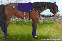 Horse Color:White Spotted Brown Frame 