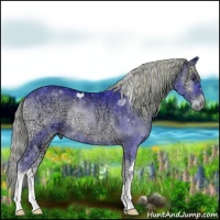 Horse Color:Watercolor Chocolate Palomino Ice Onyx Rabicano