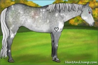 Horse Color:White Spotted Silver Grullo Chinchilla