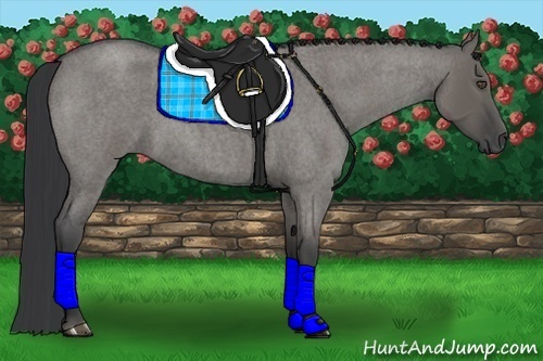 Horse Color:Grullo Roan 