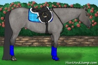 Horse Color:Grullo Roan 