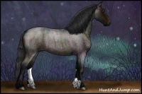 Horse Color:Midnight Brown Roan 