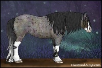 Horse Color:Midnight Bay Ice Roan Splash