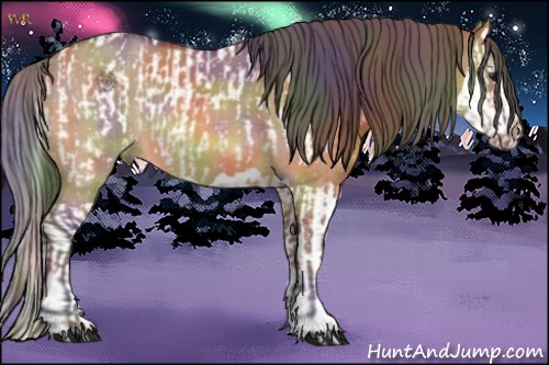 Horse Color:Nacre Bay Dun Near Leopard Rabicano and Nacre Bay Dun Splash