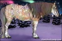 Horse Color:Nacre Bay Dun Near Leopard Rabicano  and Nacre Bay Dun Splash 