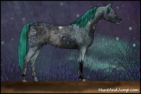 Horse Color:ERROR: UNKNOWN ANOMALY and ERROR: UNKNOWN ANOMALY