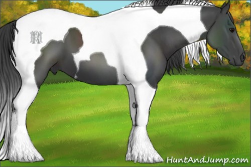 Horse Color:Smoky Black Tobiano 