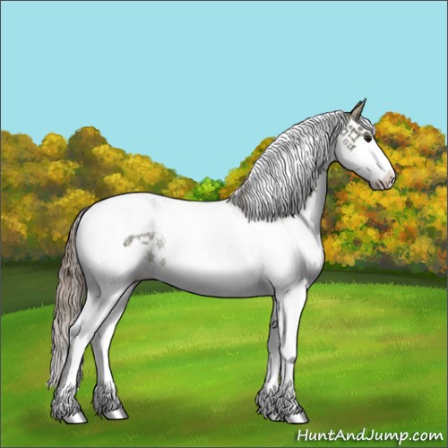 Horse Color:Grullo Ice Pearl Sabino Splash Tobiano Rabicano 