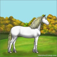 Horse Color:Painted Blue Onyx Ice Sabino Splash Tobiano Rabicano 