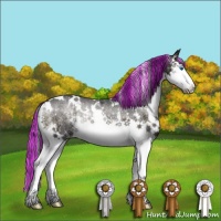 Horse Color:Painted White Spotted Blue Onyx Ice Sabino Splash Rabicano