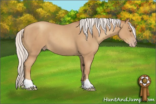 Horse Color:Silver Classic Champagne 