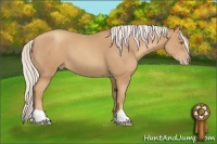 Horse Color:Silver Classic Champagne 