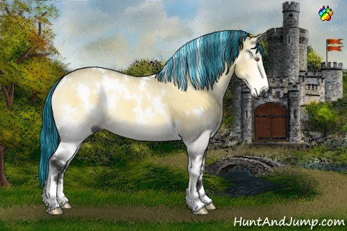 Horse Color:Gray Painted White Spotted Buckskin Chinchilla Roan Onyx 
