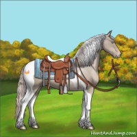 Horse Color:Chocolate Palomino Pearl Tobiano