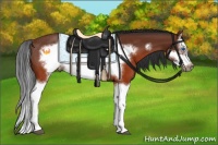 Horse Color:Brown Splash Frame Rabicano 