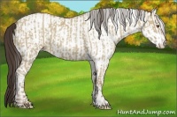 Horse Color:Classic Champagne Dun and White Spotted Classic Champagne Dun
