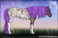 Horse Color:Painted Chocolate Silver Black Chinchilla Ice 