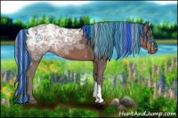 Horse Color:Painted Silver Black Ice
