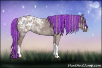 Horse Color:Painted Chocolate Silver Black Ice 