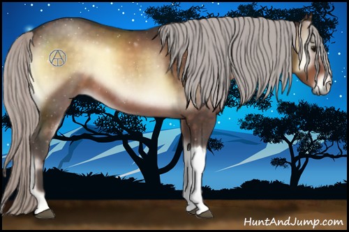 Horse Color:Silver Bay Onyx 