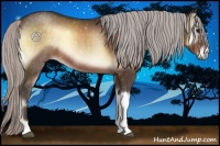 Horse Color:Silver Bay Onyx