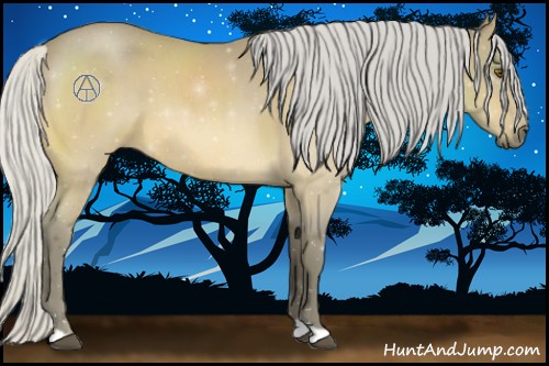 Horse Color:Silver Buckskin Roan 