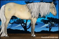 Horse Color:Silver Buckskin Roan