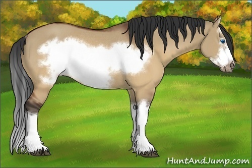 Horse Color:Brown Dun Splash Frame Rabicano