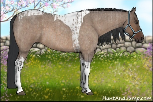 Horse Color:Brown Roan Dun Tobiano  and Brown Roan Dun Tobiano 