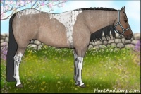 Horse Color:Brown Roan Dun Tobiano  and Brown Roan Dun Tobiano 