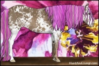 Horse Color:Painted White Spotted Chocolate Palomino Appaloosa 