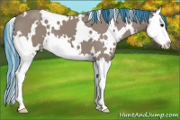 Horse Color:Watercolor White Spotted Brown Splash Varnish 