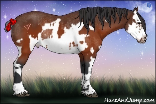 Horse Color:Brown Splash Frame Rabicano and Brown Splash Frame Rabicano