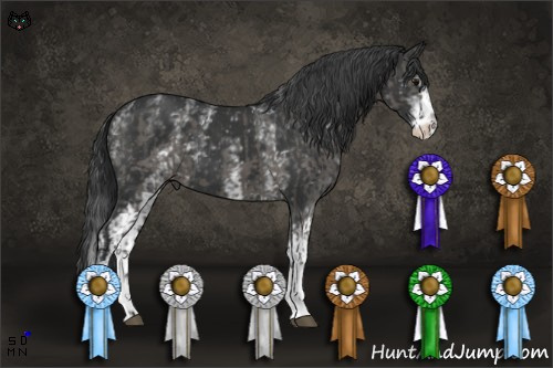 Horse Color:Grullo Mushroom Sabino Splash  and White Spotted Black 