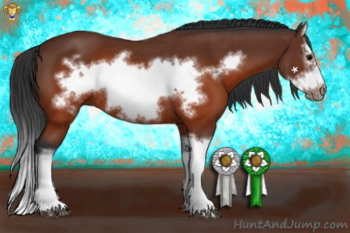 Horse Color:Brown Splash Frame Rabicano 