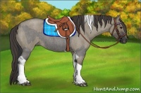 Horse Color:Grullo Roan Tobiano  and Smoky Grullo Roan Tobiano 