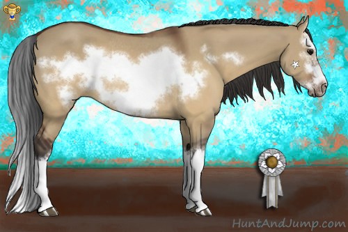 Horse Color:Brown Dun Splash Frame Rabicano 